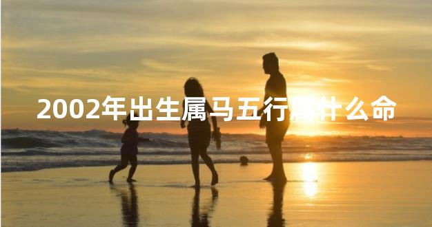 2002年出生属马五行属什么命