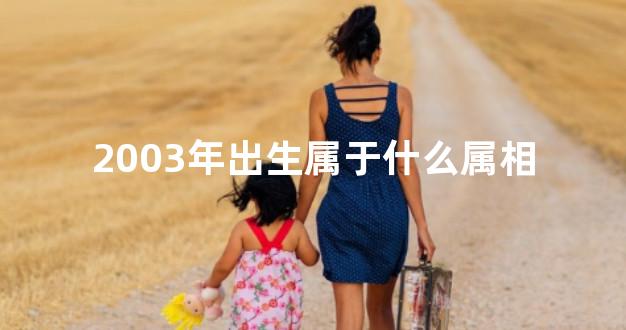2003年出生属于什么属相