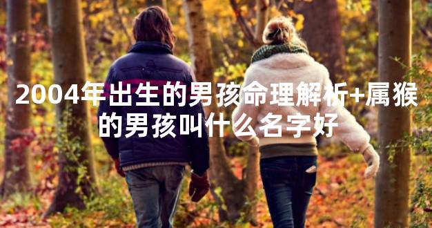 2004年出生的男孩命理解析+属猴的男孩叫什么名字好