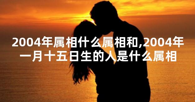2004年属相什么属相和,2004年一月十五日生的人是什么