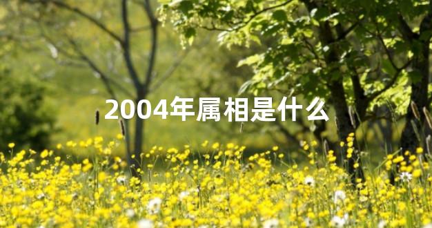 2004年属相是什么