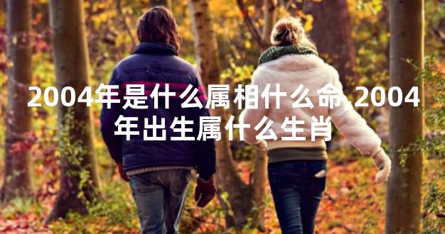 2004年是什么属相什么命,2004年出生属什么生肖