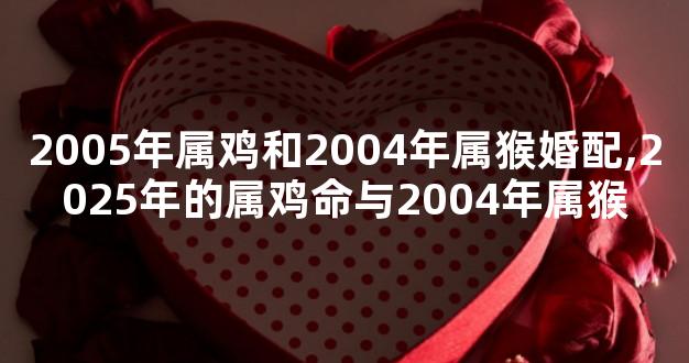 2005年属鸡和2004年属猴婚配,2025年的属鸡命与2004年属猴
