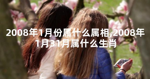 2008年1月份属什么属相,2008年1月31月属什么生肖