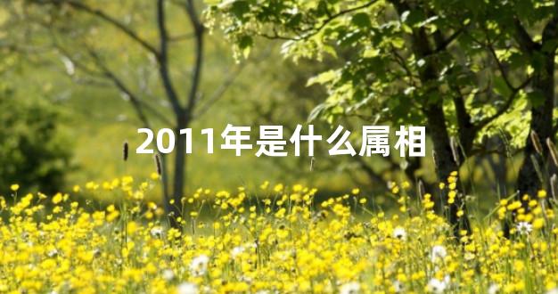 2011年是什么属相