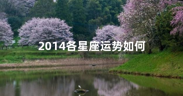 2014各星座运势如何