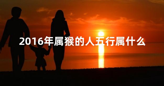 2016年属猴的人五行属什么