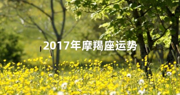 2017年摩羯座运势