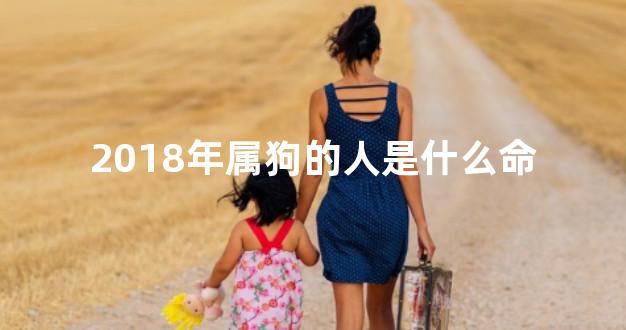 2018年属狗的人是什么命