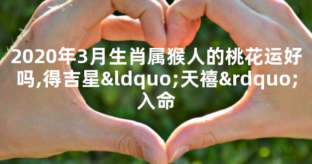 2020年3月生肖属猴人的桃花运好吗,得吉星“天禧”入