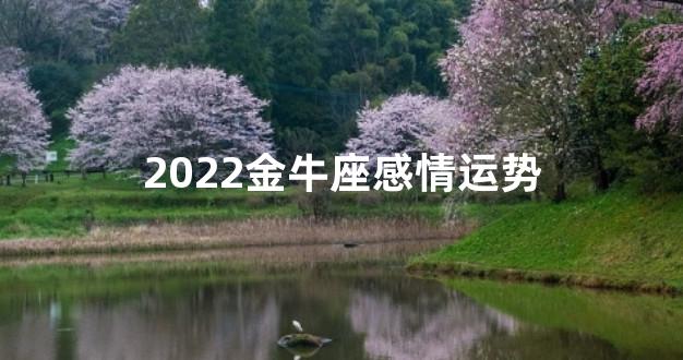 2022金牛座感情运势