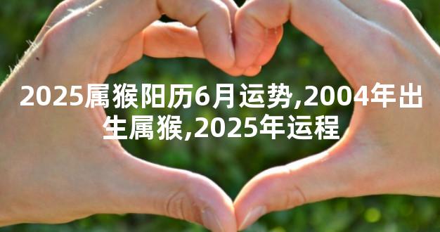 2025属猴阳历6月运势,2004年出生属猴,2025年运程