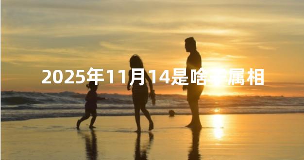 2025年11月14是啥子属相