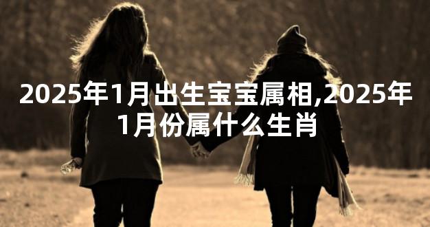 2025年1月出生宝宝属相,2025年1月份属什么生肖