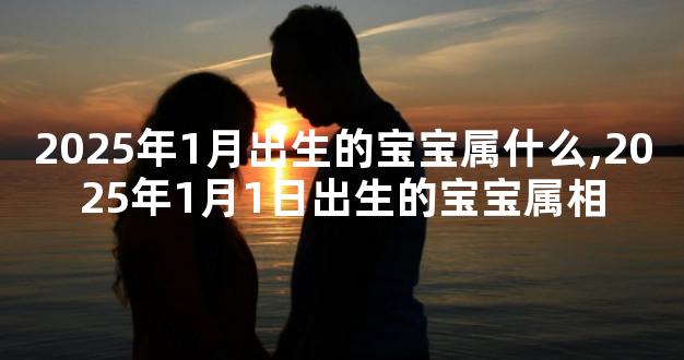 2025年1月出生的宝宝属什么,2025年1月1日出生的宝宝属