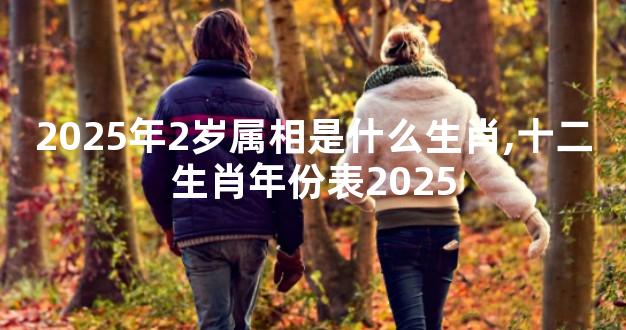 2025年2岁属相是什么生肖,十二生肖年份表2025