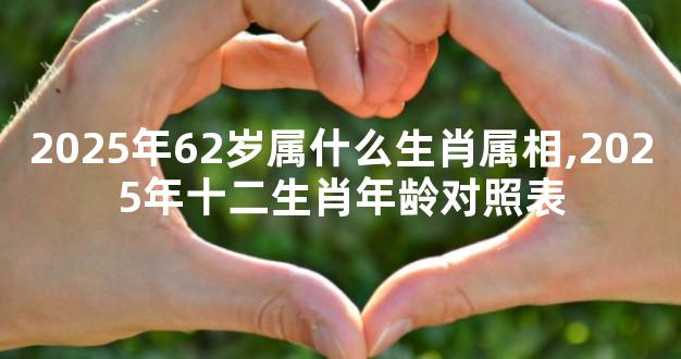 2025年62岁属什么生肖属相,2025年十二生肖年龄对照表