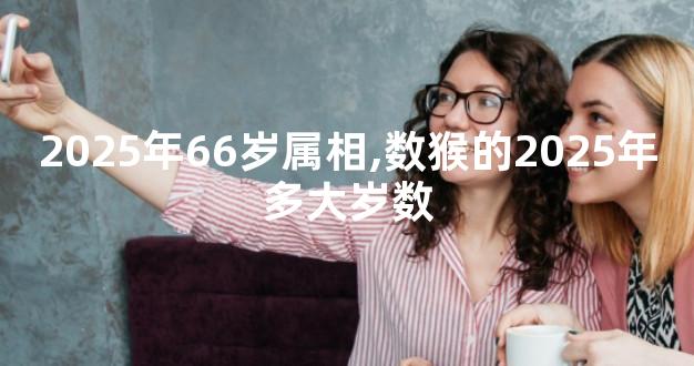 2025年66岁属相,数猴的2025年多大岁数