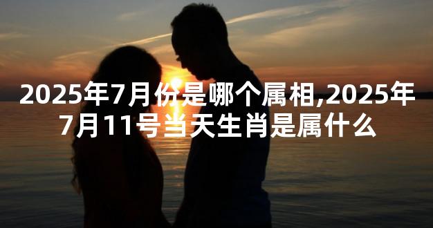 2025年7月份是哪个属相,2025年7月11号当天生肖是属什么