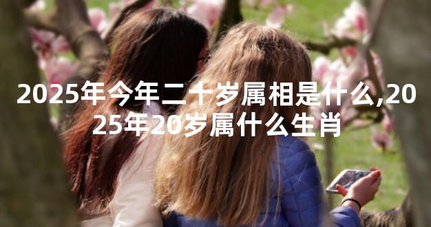2025年今年二十岁属相是什么,2025年20岁属什么生肖