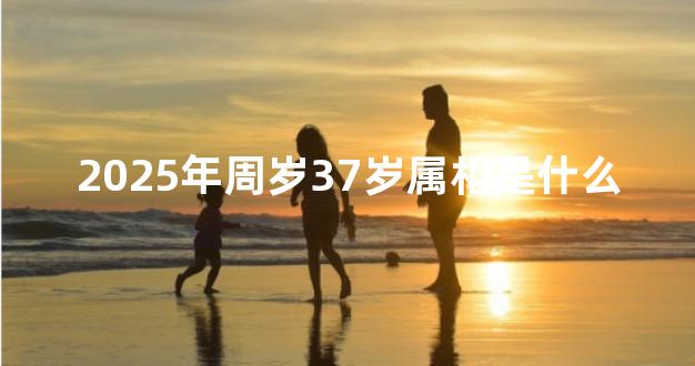 2025年周岁37岁属相是什么