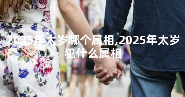 2025年太岁哪个属相,2025年太岁犯什么属相