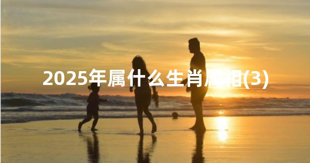 2025年属什么生肖属相(3)