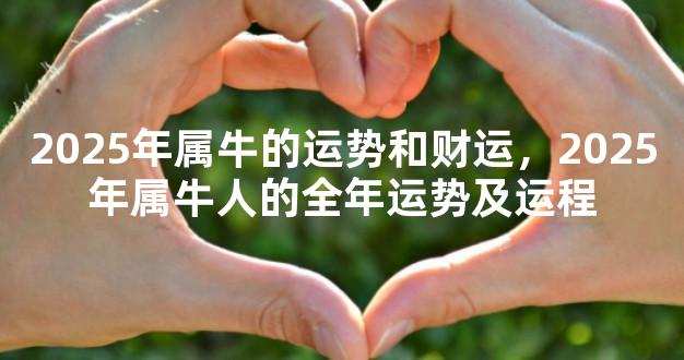 2025年属牛的运势和财运，2025年属牛人的全年运势及运