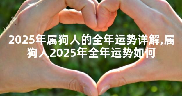 2025年属狗人的全年运势详解,属狗人2025年全年运势如