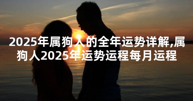 2025年属狗人的全年运势详解,属狗人2025年运势运程每
