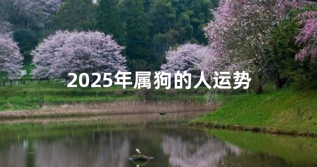 2025年属狗的人运势