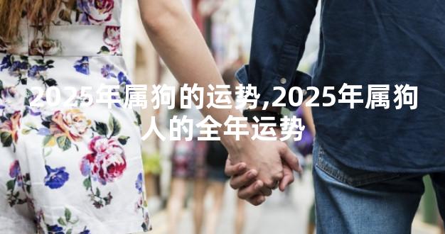 2025年属狗的运势,2025年属狗人的全年运势