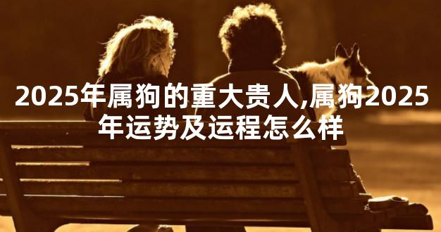 2025年属狗的重大贵人,属狗2025年运势及运程怎么样