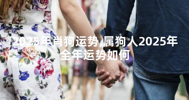 2025年肖狗运势,属狗人2025年全年运势如何
