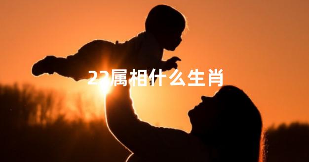 22属相什么生肖