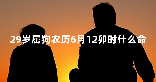 29岁属狗农历6月12卯时什么命