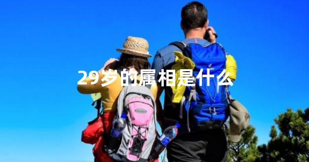 29岁的属相是什么