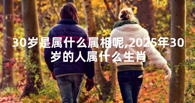 30岁是属什么属相呢,2025年30岁的人属什么生肖