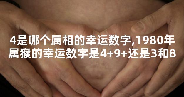 4是哪个属相的幸运数字,1980年属猴的幸运数字是4+9+还