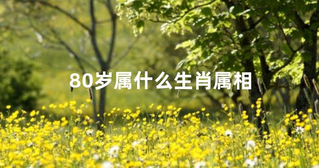 80岁属什么生肖属相