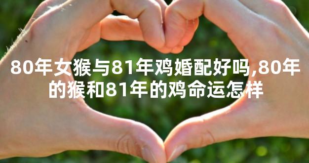 80年女猴与81年鸡婚配好吗,80年的猴和81年的鸡命运怎