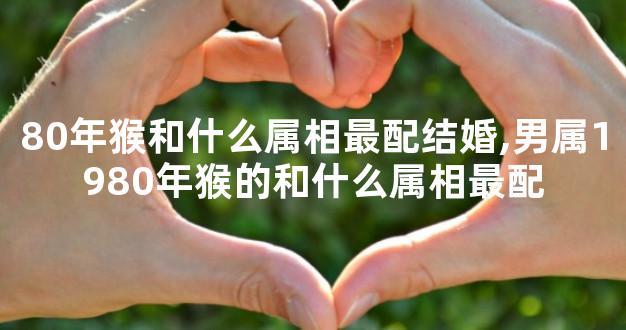 80年猴和什么属相最配结婚,男属1980年猴的和什么属相