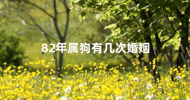 82年属狗有几次婚姻