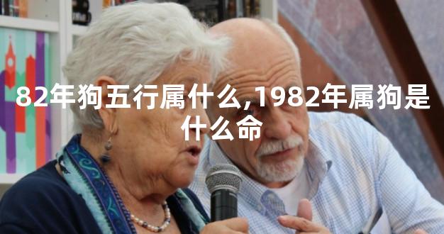 82年狗五行属什么,1982年属狗是什么命