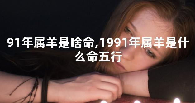 91年属羊是啥命,1991年属羊是什么命五行