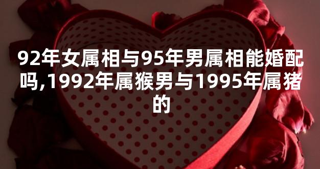 92年女属相与95年男属相能婚配吗,1992年属猴男与1995年