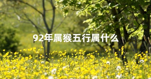 92年属猴五行属什么
