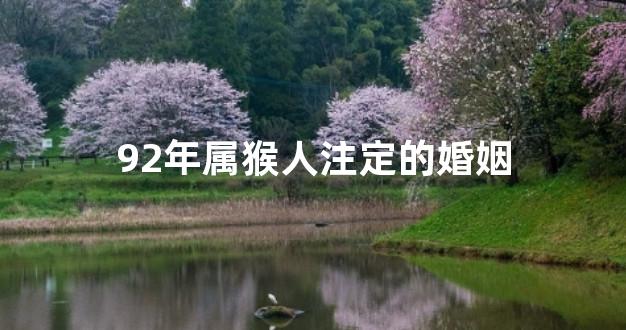 92年属猴人注定的婚姻