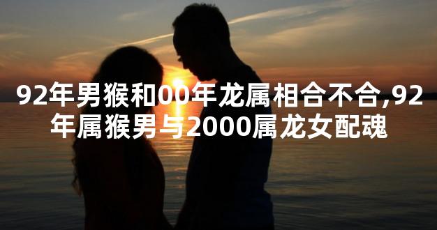92年男猴和00年龙属相合不合,92年属猴男与2000属龙女配魂