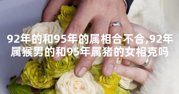 92年的和95年的属相合不合,92年属猴男的和95年属猪的